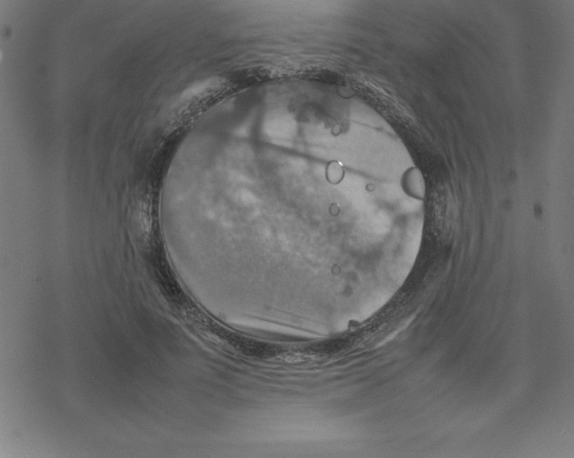 X0000077290691200611101343