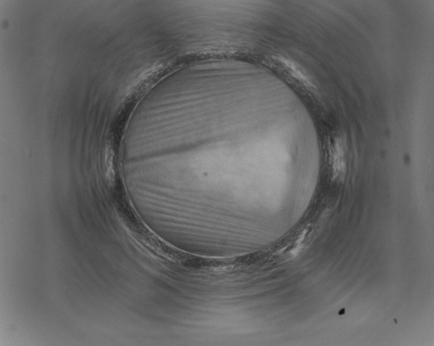 X0000077290692200611101343