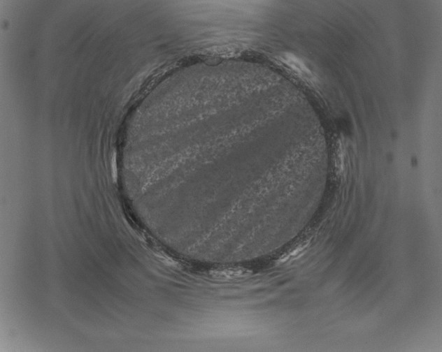 X0000077290693200611101343