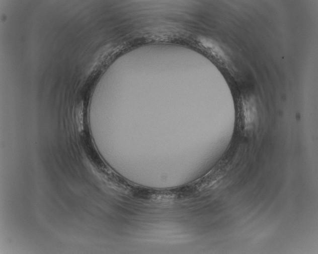 X0000077290694200611101343