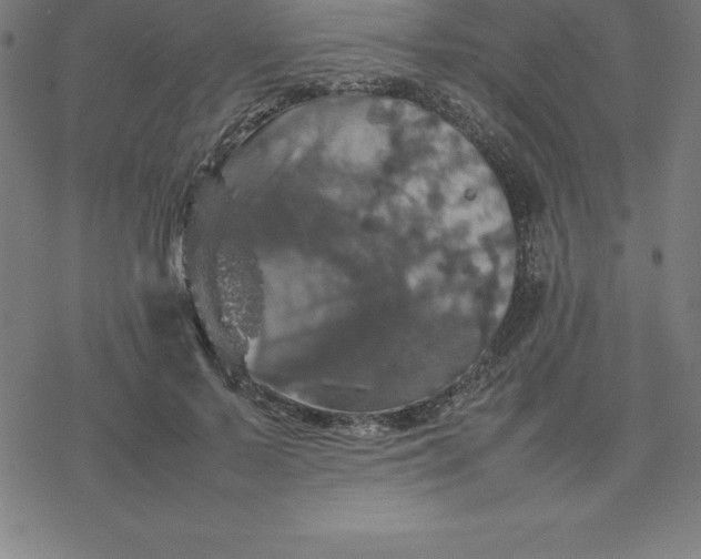 X0000077290695200611101343