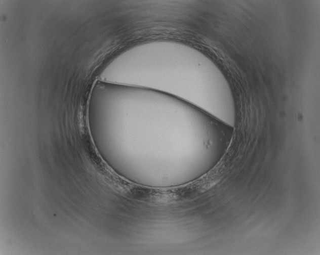 X0000077290696200611101343