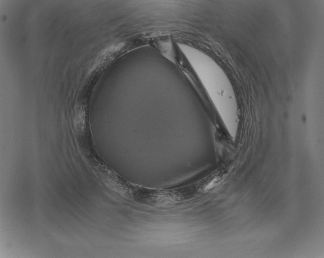 X0000077290697200611101343