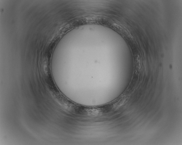 X0000077290698200611101343