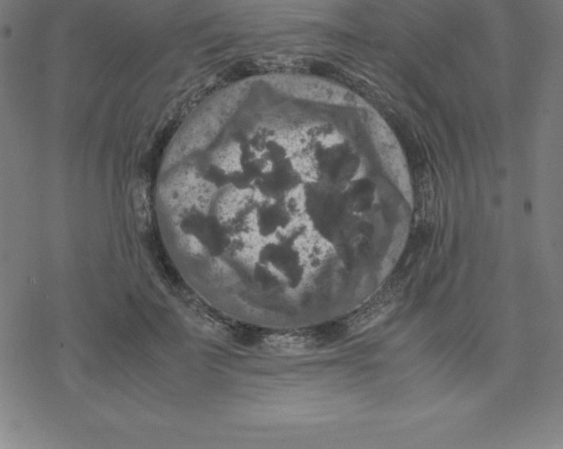 X0000077290699200611101343