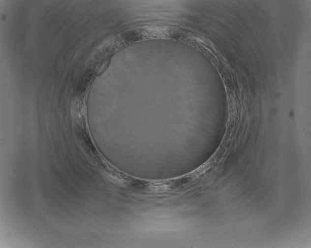 X0000077290701200611101343