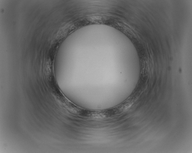 X0000077290702200611101343