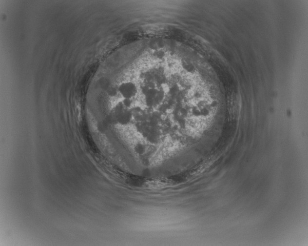 X0000077290703200611101343