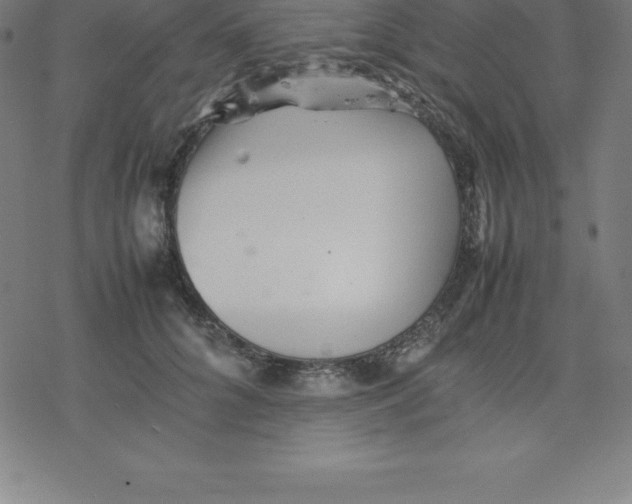 X0000077290704200611101343