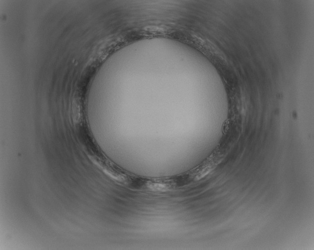 X0000077290706200611101343