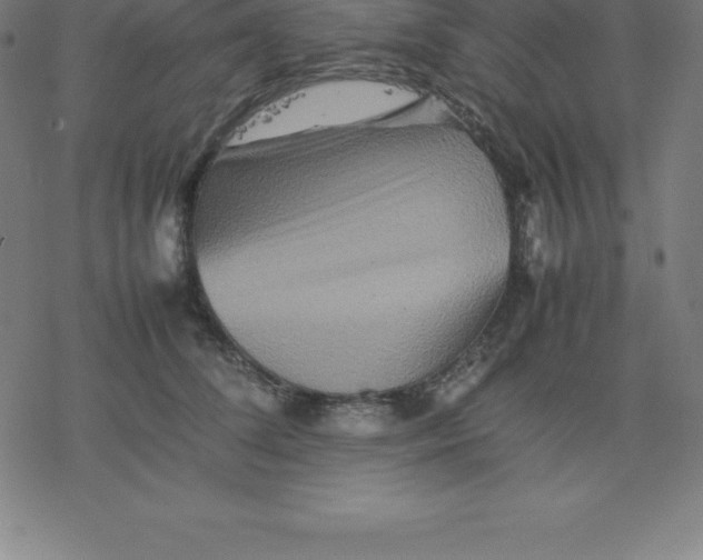 X0000077290708200611101343