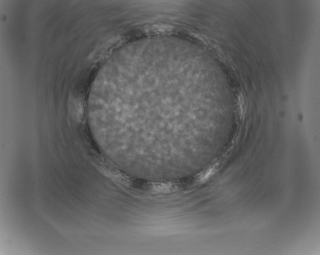 X0000077290709200611101343