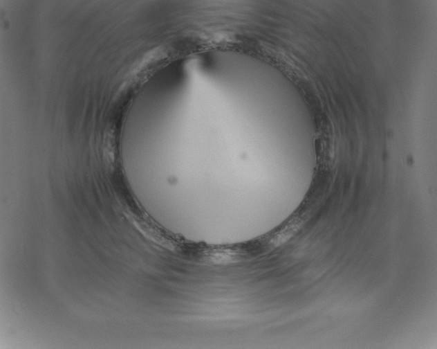 X0000077290710200611101343