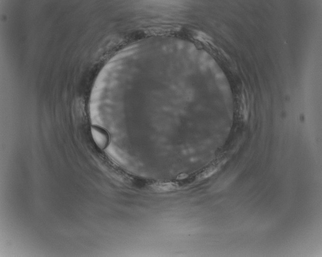 X0000077290711200611101343