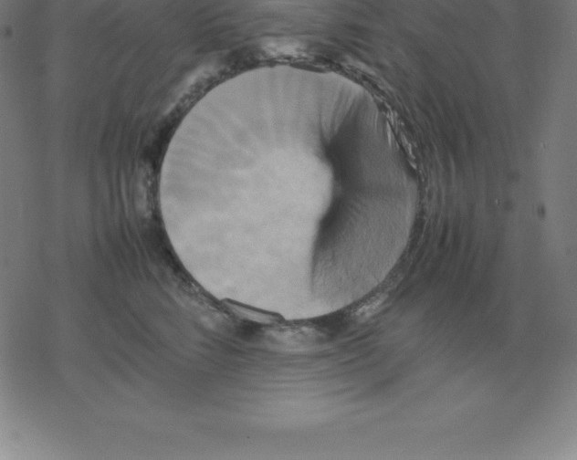 X0000077290712200611101343