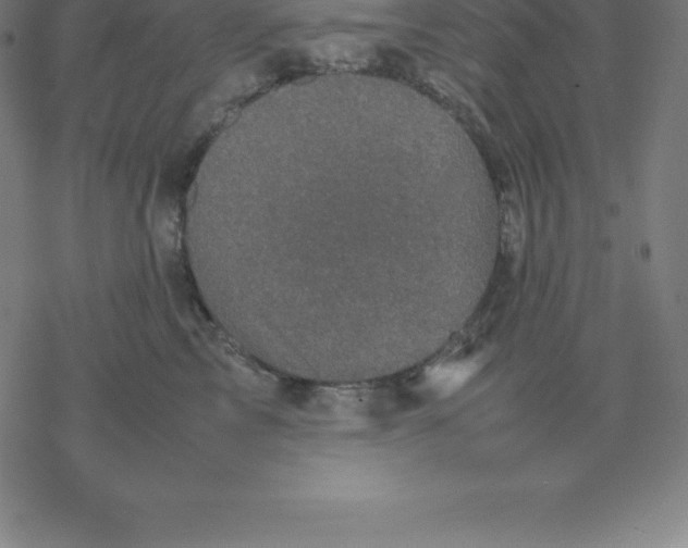 X0000077290713200611101343