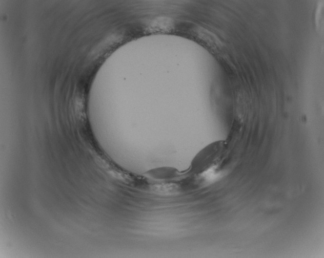 X0000077290714200611101343