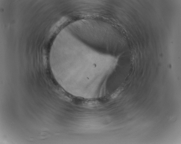 X0000077290716200611101343