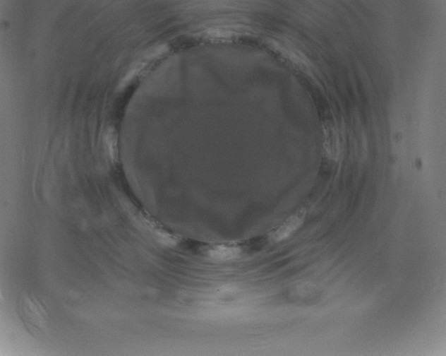 X0000077290718200611101343