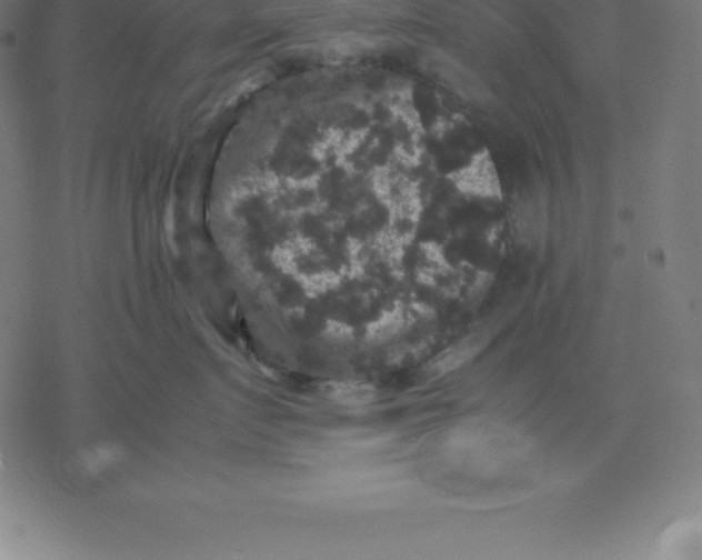 X0000077290719200611101343