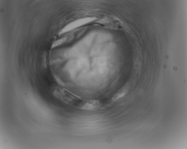 X0000077290720200611101343