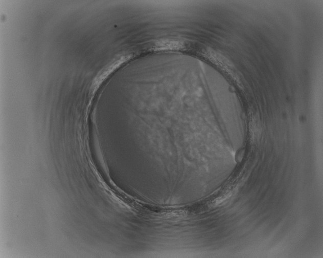 X0000077290721200611101342