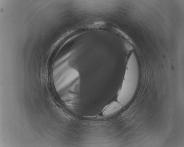 X0000077290722200611101342