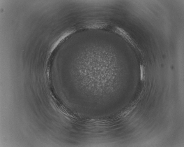 X0000077290723200611101342