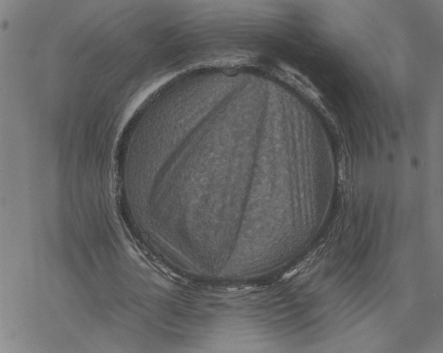 X0000077290724200611101342