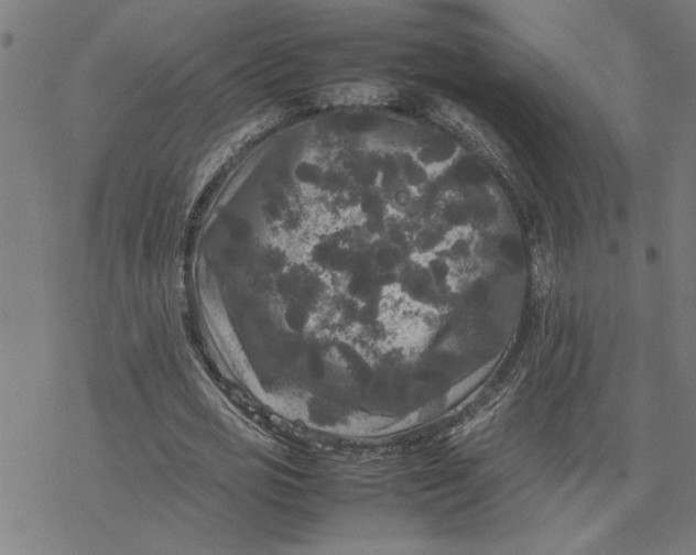 X0000077290725200611101342