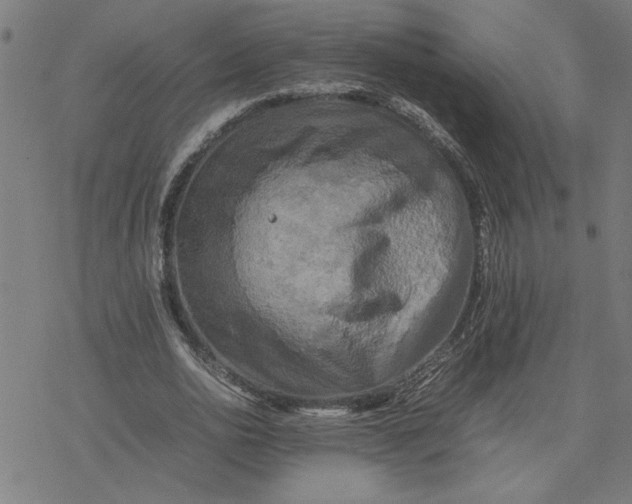 X0000077290726200611101342