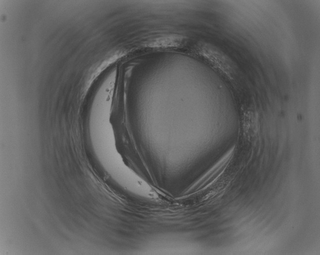 X0000077290727200611101342