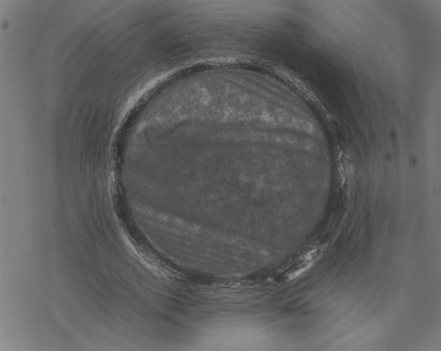 X0000077290728200611101342