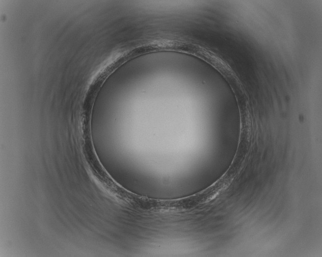 X0000077290730200611101342