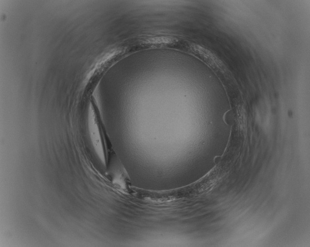 X0000077290731200611101342