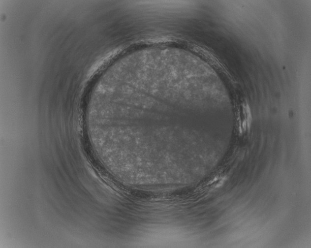 X0000077290732200611101342