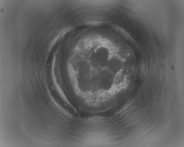 X0000077290734200611101342