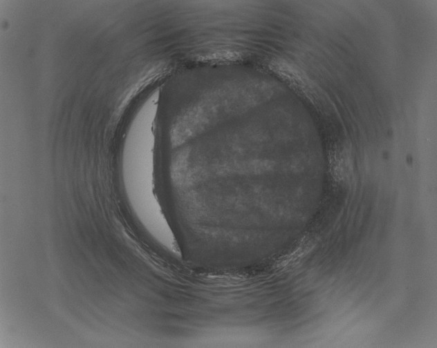 X0000077290735200611101342