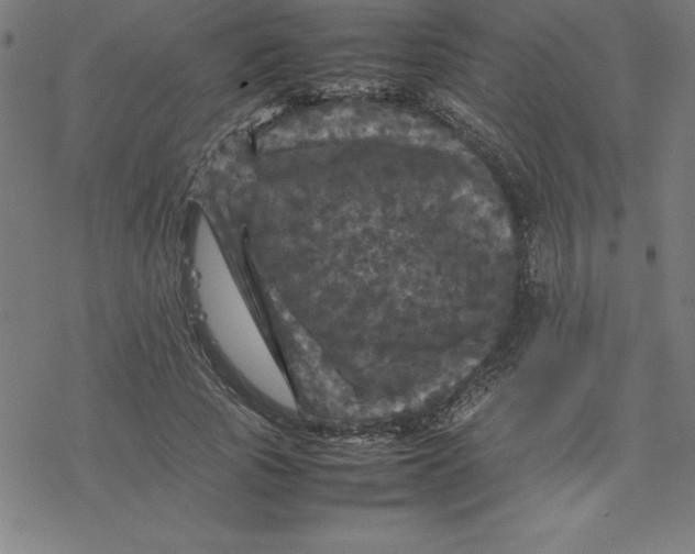 X0000077290737200611101342