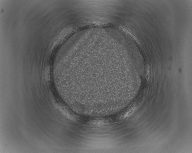 X0000077290738200611101342