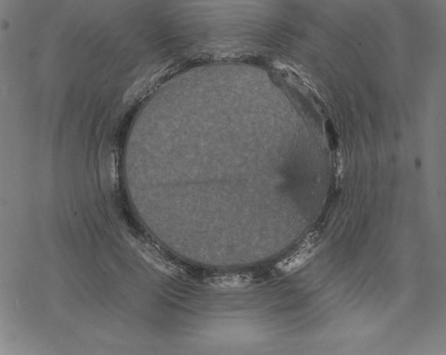 X0000077290740200611101342