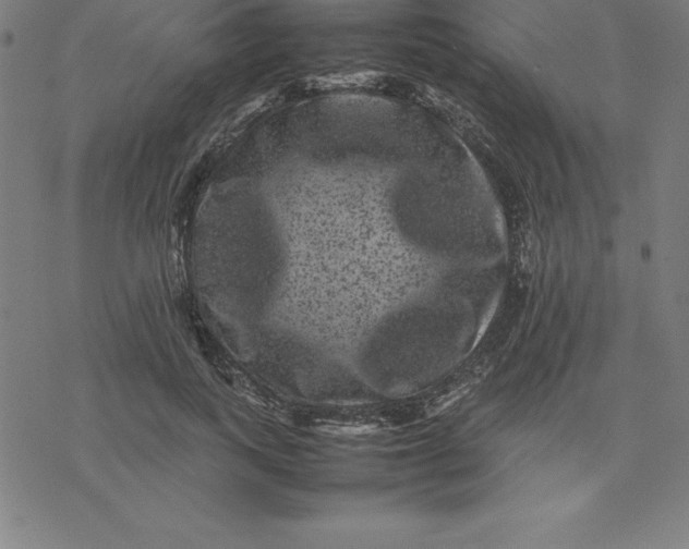 X0000077290743200611101342