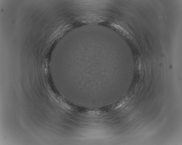 X0000077290744200611101342