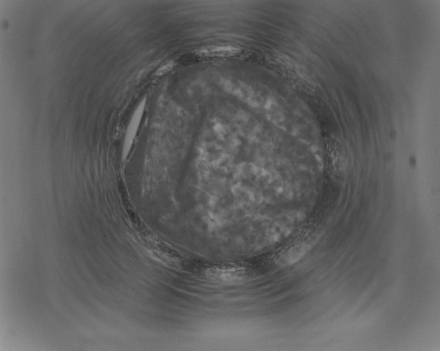 X0000077290745200611101342