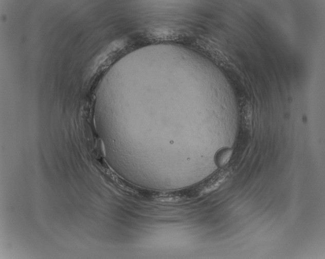 X0000077290746200611101342