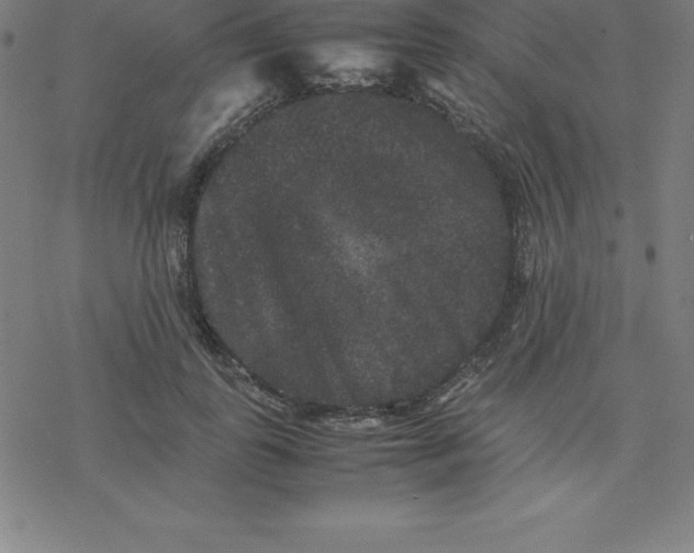 X0000077290747200611101342