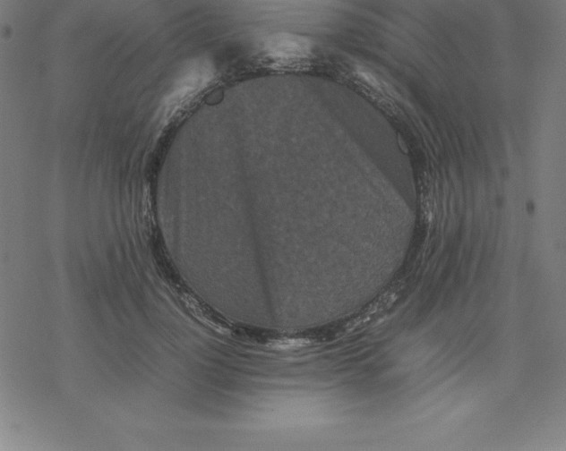 X0000077290748200611101342