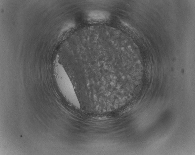 X0000077290749200611101342