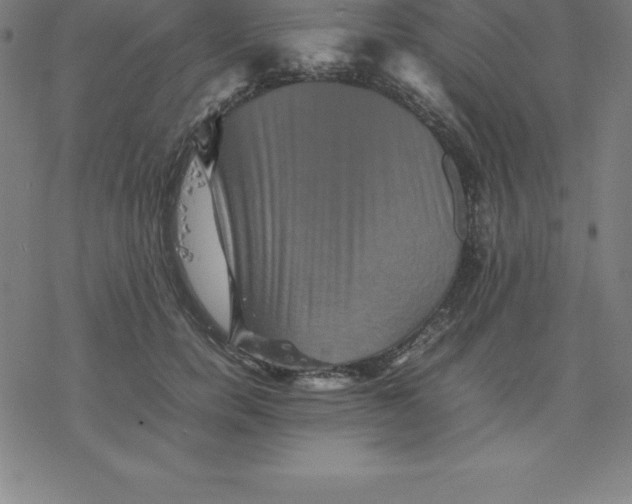 X0000077290750200611101342