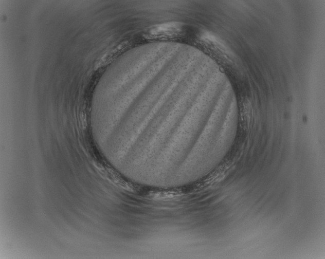 X0000077290751200611101342